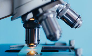 Welcome to our company website!